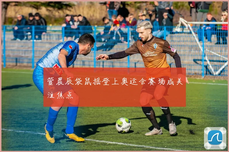 管晨辰袋鼠摇登上奥运会赛场成关注焦点