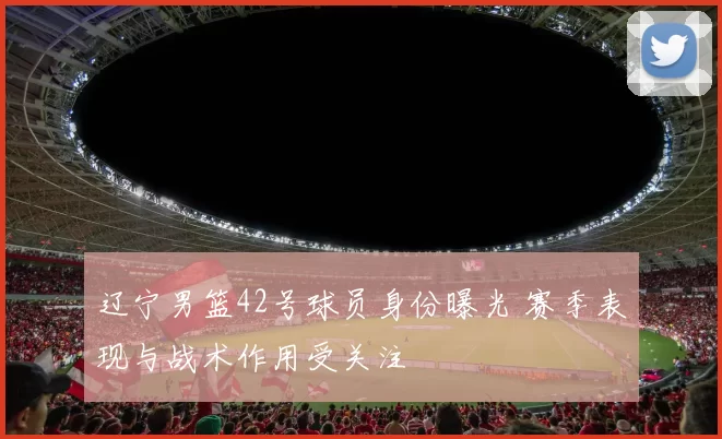 辽宁男篮42号球员身份曝光 赛季表现与战术作用受关注