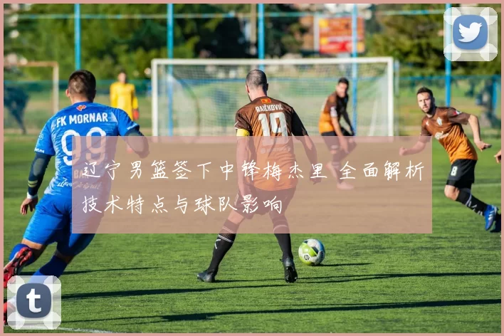 辽宁男篮签下中锋梅杰里 全面解析技术特点与球队影响