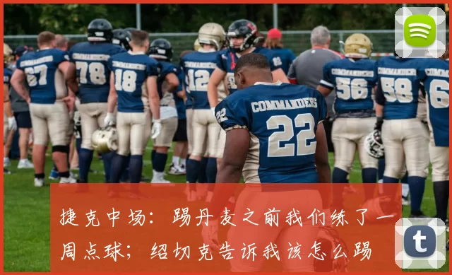 捷克中场：踢丹麦之前我们练了一周点球；绍切克告诉我该怎么踢