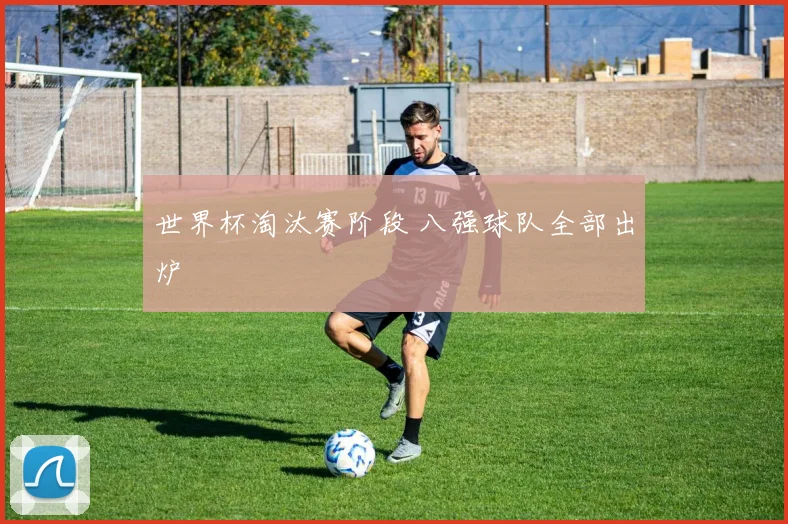 世界杯淘汰赛阶段 八强球队全部出炉